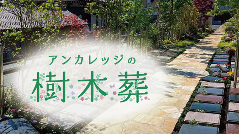 株式会社アンカレッジ