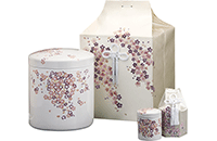 白 みやび桜